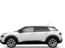 C4 Cactus